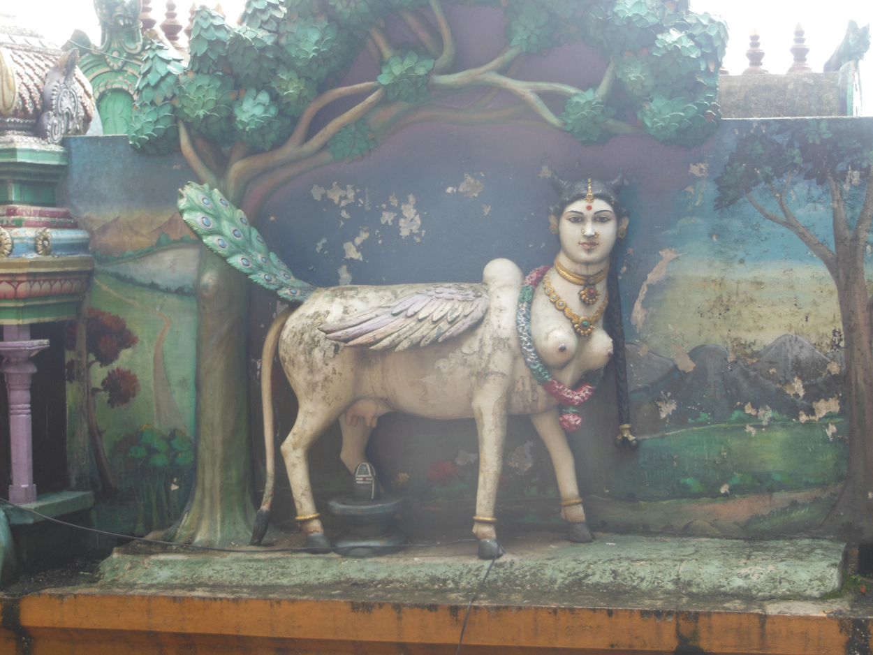 2013-11-03 Kuala Lumpur (Beim Tempel) 